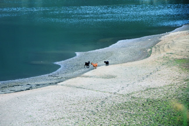 http://www.fjsenfa.cn/pics/default/download/f54812cc8e3b0770c72b0e6d5fba11bd.jpg