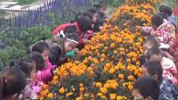 清華陽光幼兒園中三班——大自然夢想城1