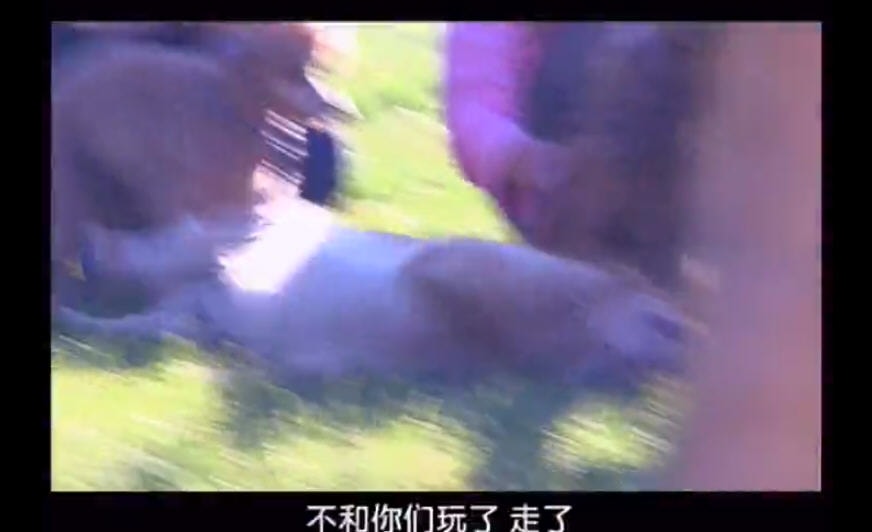http://www.fjsenfa.cn/pics/default/download/f6e72cbc1ba1517c1aa1462df45e935a.jpg