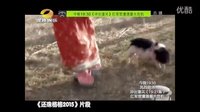 《還珠格格2015》搞笑上線 導演致敬原著不懼吐槽
