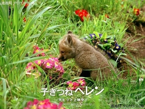 http://www.fjsenfa.cn/pics/default/download/f8272d1474f2c9d7048f723c6f9d8e6f.jpg