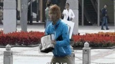 預(yù)告片