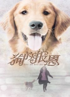 狗的報恩