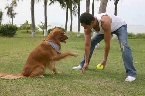 http://www.fjsenfa.cn/pics/default/download/f90b890e18d996ce743b94653570c937.jpg