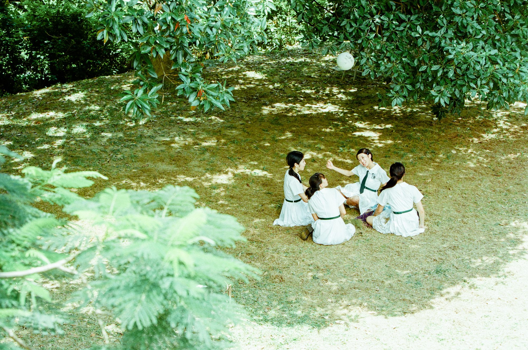 http://www.fjsenfa.cn/pics/default/download/f967712b25ae9b53629a06b18a9acc93.jpg