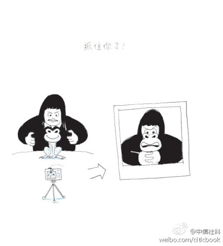 http://www.fjsenfa.cn/pics/default/download/fa46d579e44c2607a1378c88777b86d9.jpg