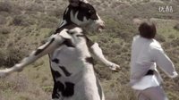 昆寶出拳-和老牛打斗片段
