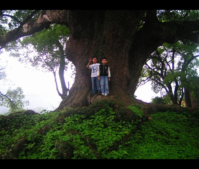 http://www.fjsenfa.cn/pics/default/download/fafd523fcdc369d9d9da65d32bbcd603.jpg