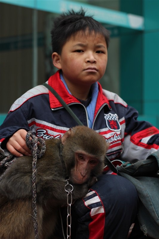 http://www.fjsenfa.cn/pics/default/download/fb12f53d07fbeb25a6f4f912e40bec7b.jpg