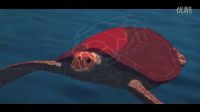 動畫《紅海龜》曝光美版預(yù)告 紅發(fā)女子送龜殼歸海留下暗示線索