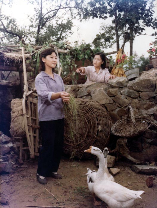 http://www.fjsenfa.cn/pics/default/download/fc867deaccd8c143156f81c2146044dc.jpg