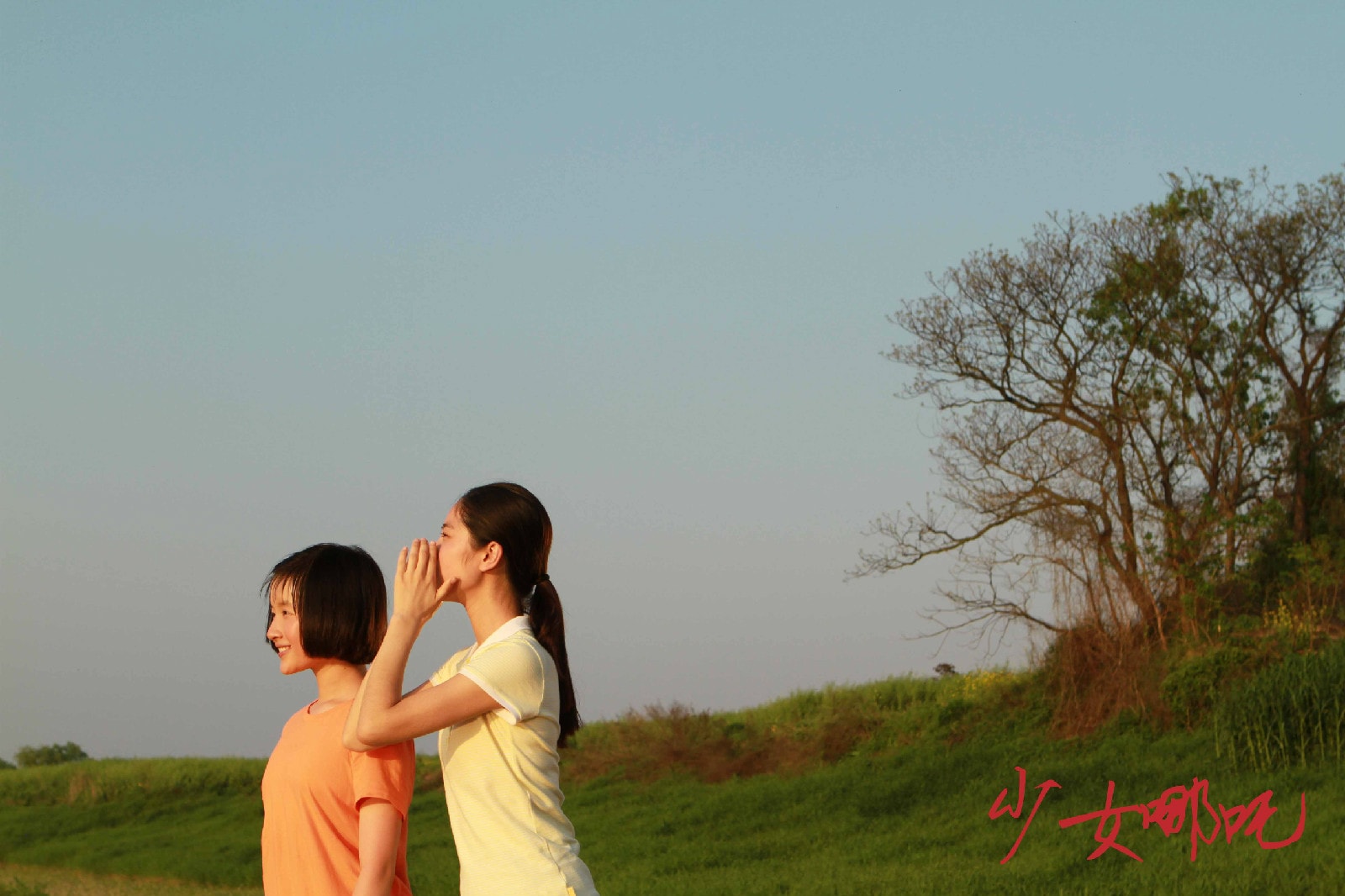 http://www.fjsenfa.cn/pics/default/download/fcdd89682883825c94e63b75d562de56.jpg