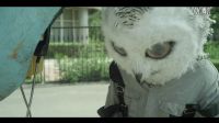 變異獸－預告