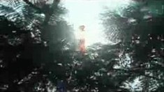 預告片