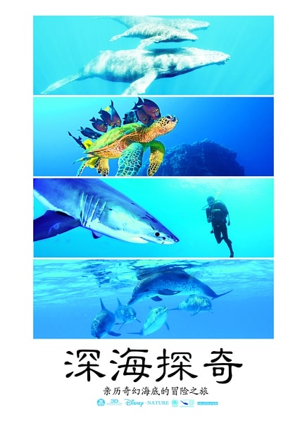 http://www.fjsenfa.cn/pics/default/download/fdd9a3998e3db95dda1bb4178ef0d628.jpg