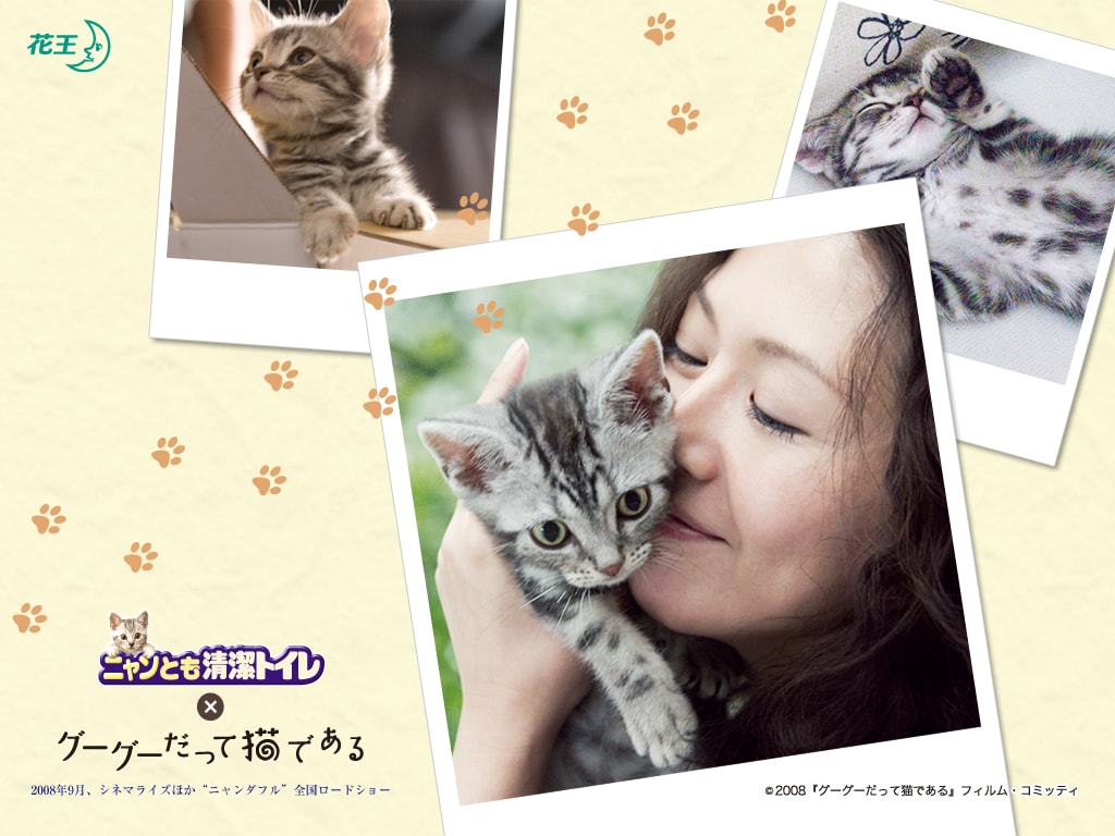 http://www.fjsenfa.cn/pics/default/download/fec435722d68b3f3dd350eb3003a5b4a.jpg