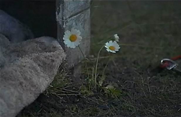 http://www.fjsenfa.cn/pics/default/download/fef83cb89a19d7aaf47a725d75c80d52.jpg