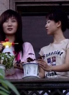 被風吹過的夏天