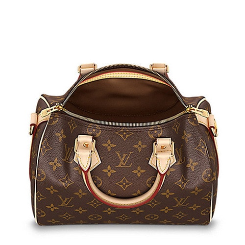 Louis Vuitton/路易威登 老花經典帆布Speedy25女士兩用手提包