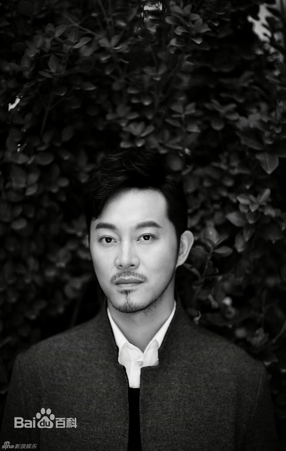 http://www.fjsenfa.cn/pics/star/pic/0a3c27092c6d3d9275d3a8708c0e9ab2.jpg