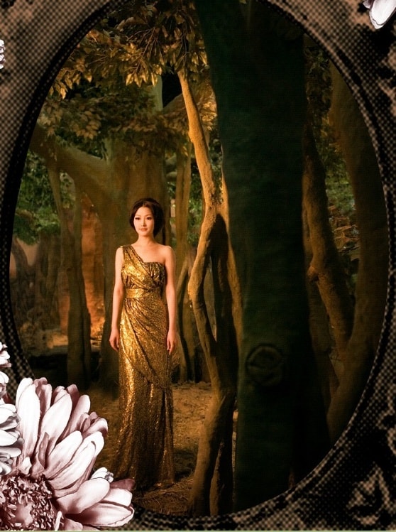 http://www.fjsenfa.cn/pics/star/pic/10cb046adbd47c7d8f0af804f7d59ebb.jpg