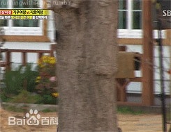http://www.fjsenfa.cn/pics/star/pic/13a994a283c3e5cf69d399e2d09d755e.jpg
