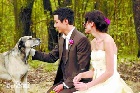 http://www.fjsenfa.cn/pics/star/pic/1b15a679054f1a92c63d241514e9fa14.jpg