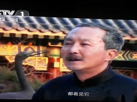 http://www.fjsenfa.cn/pics/star/pic/1e9b/c99de5daabe5a613d5dba174ce08.jpg