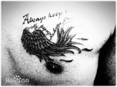 http://www.fjsenfa.cn/pics/star/pic/204fb7a3c3d1d904033f80e45e5a92eb.jpg