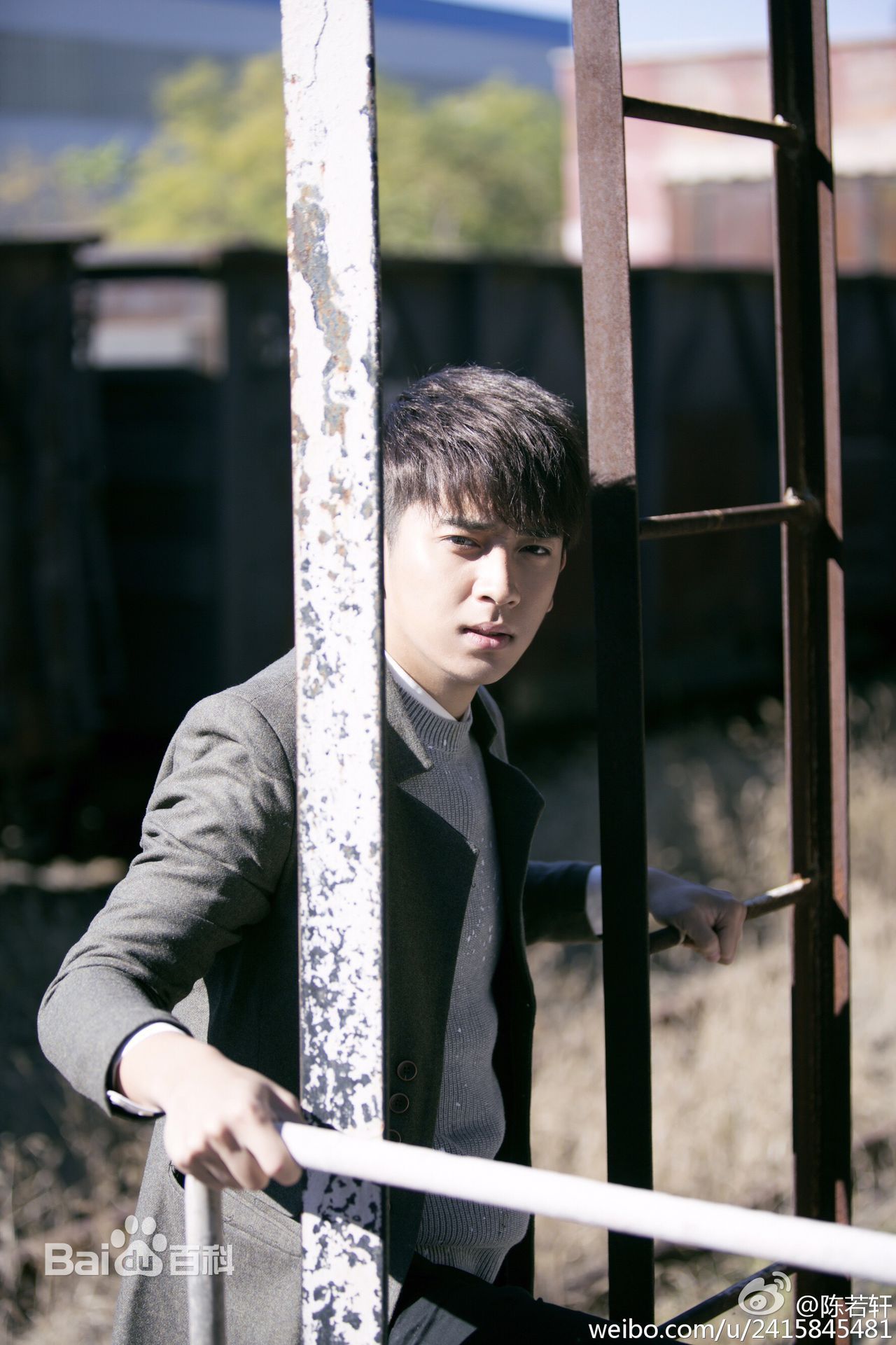 http://www.fjsenfa.cn/pics/star/pic/206d17b6ef4bfe7560eb14096d6340cc.jpg