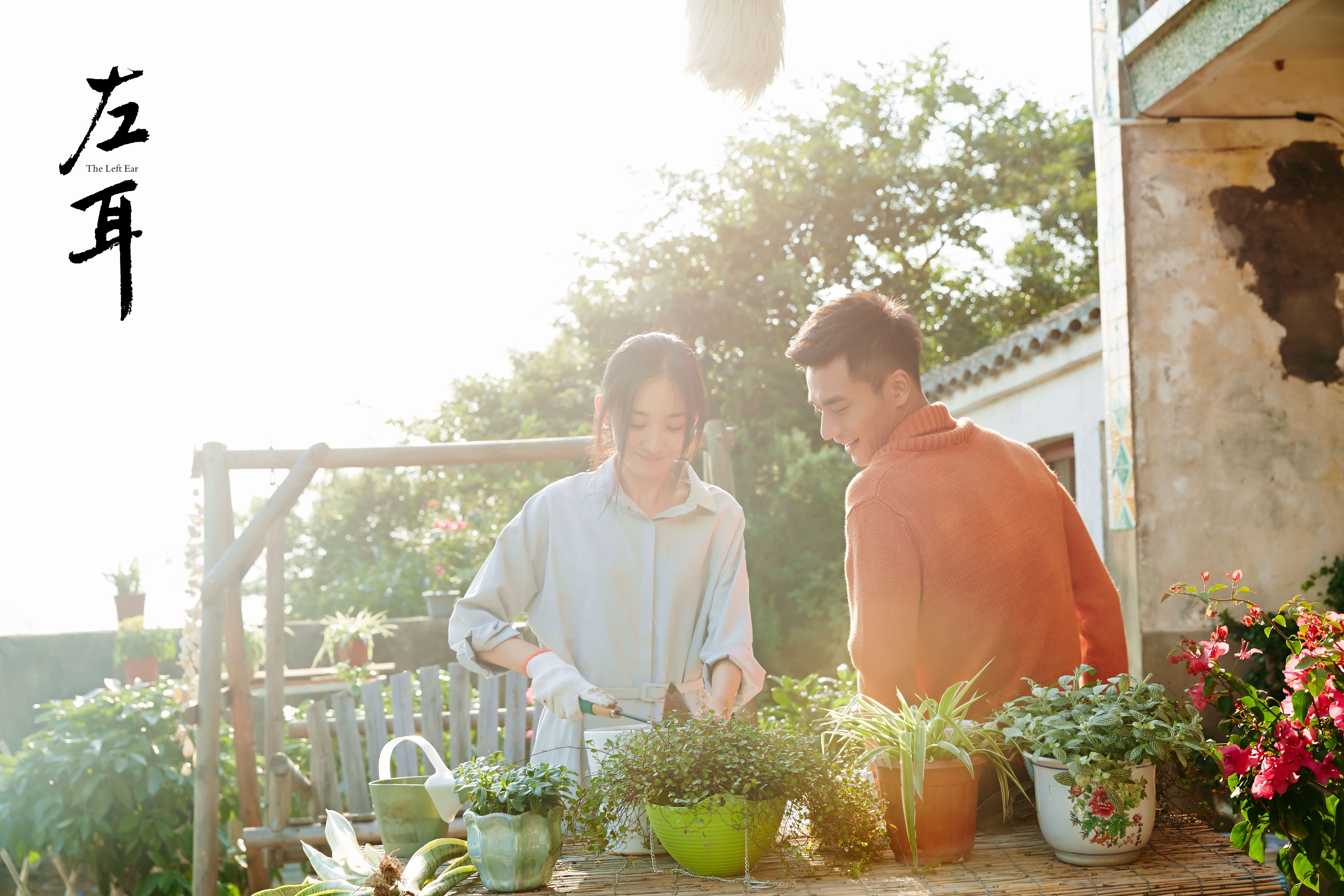 http://www.fjsenfa.cn/pics/star/pic/2e7d/e1fffd9656dd86a132e10cee9537.jpg