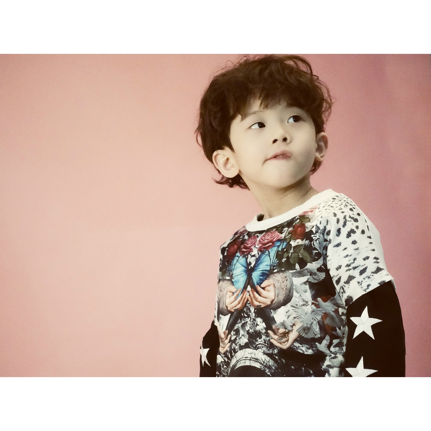 http://www.fjsenfa.cn/pics/star/pic/2ef90653250fc4410b420eecf1ff75e1.jpg