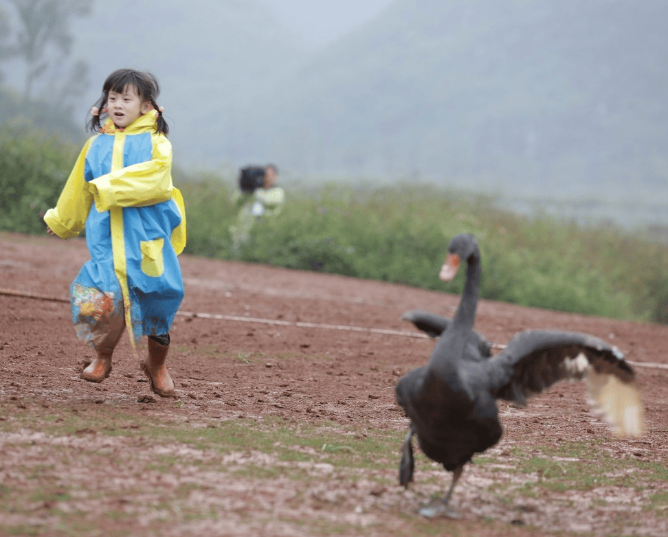 http://www.fjsenfa.cn/pics/star/pic/2ffeefb56b1ed1543c9d9777b3b1f070.jpg
