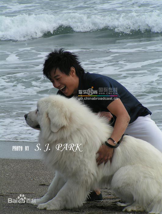 http://www.fjsenfa.cn/pics/star/pic/31715f713013ab2e35ad5eae274a0c93.jpg