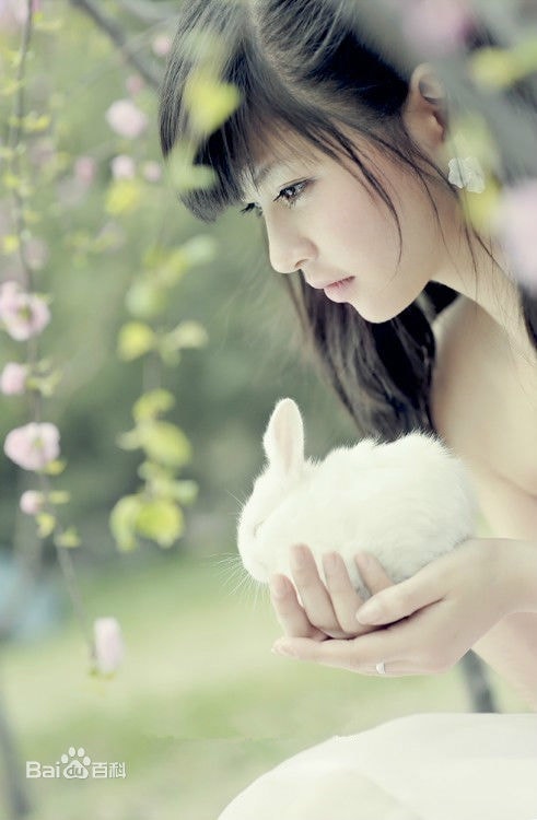 http://www.fjsenfa.cn/pics/star/pic/319762f5e5d0b25204b4a2c463d1b56c.jpg