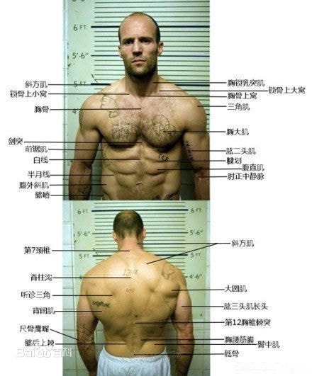 http://www.fjsenfa.cn/pics/star/pic/36cdc867c7af7bef9176763e8b25c728.jpg