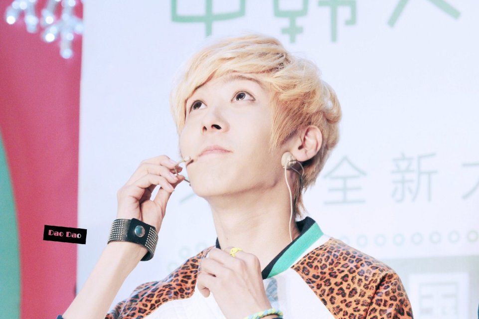 http://www.fjsenfa.cn/pics/star/pic/4250/52572da2d8b8f80f773588ed64b3.jpg