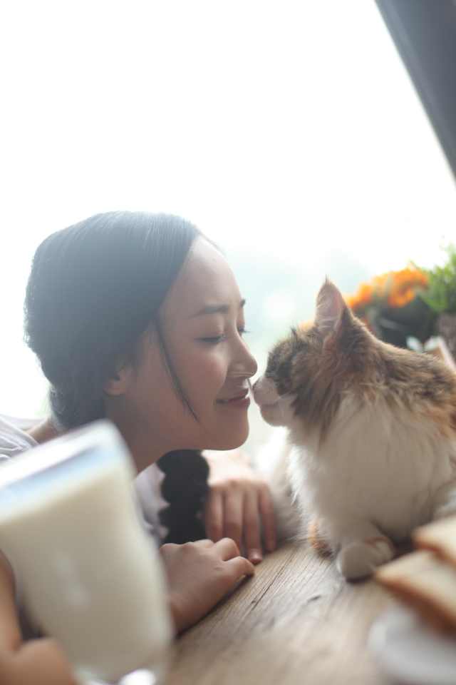 http://www.fjsenfa.cn/pics/star/pic/4949ecfa61eeeeb1b5229ff414ceb4a7.jpg