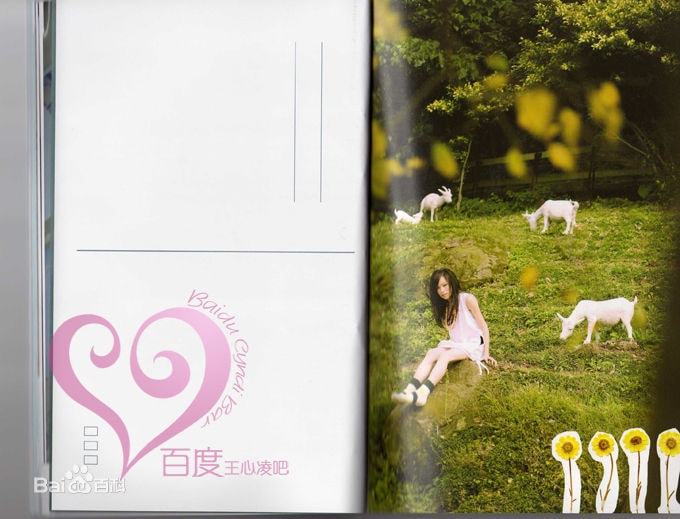 http://www.fjsenfa.cn/pics/star/pic/4a90c6da813574df2807fa1999891754.jpg