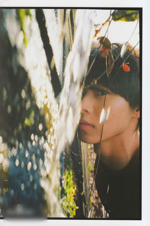 http://www.fjsenfa.cn/pics/star/pic/54ab64fc587fc5cf336484ca8eab2be2.jpg