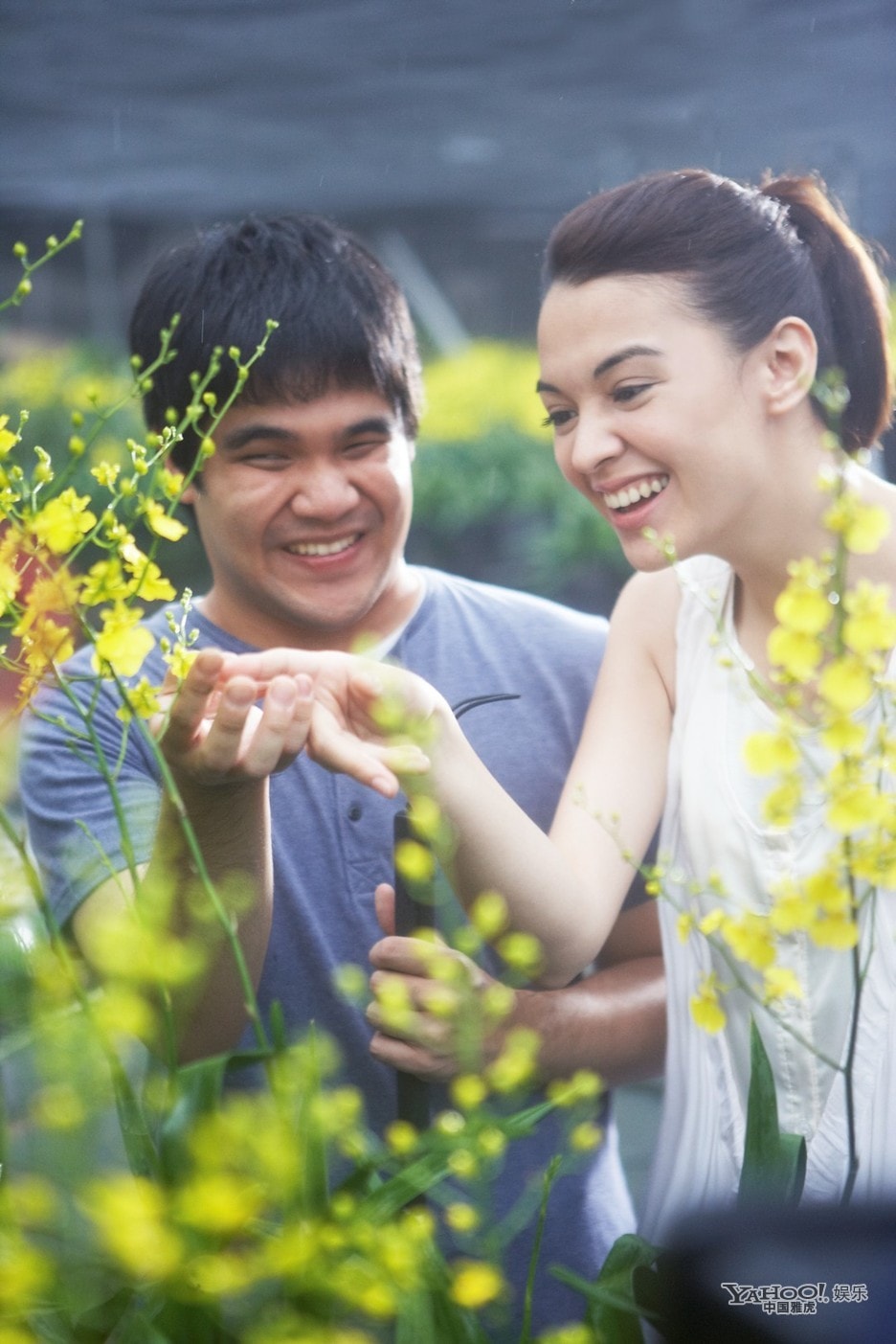 http://www.fjsenfa.cn/pics/star/pic/5978f97995d93484ca08c982cb53b4b2.jpg