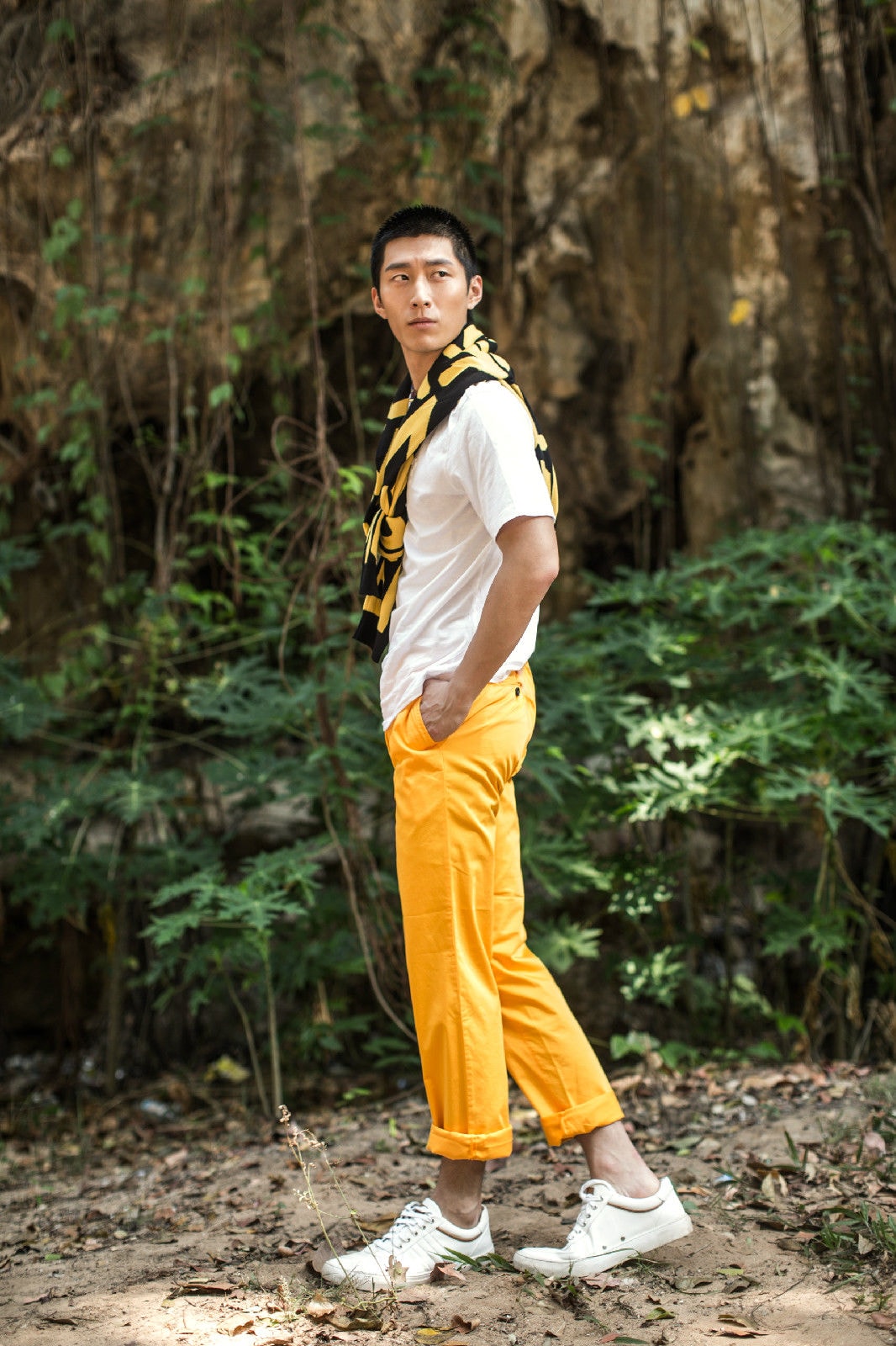 http://www.fjsenfa.cn/pics/star/pic/662e/d8c734855b40fdf8041b59bd31f8.jpg