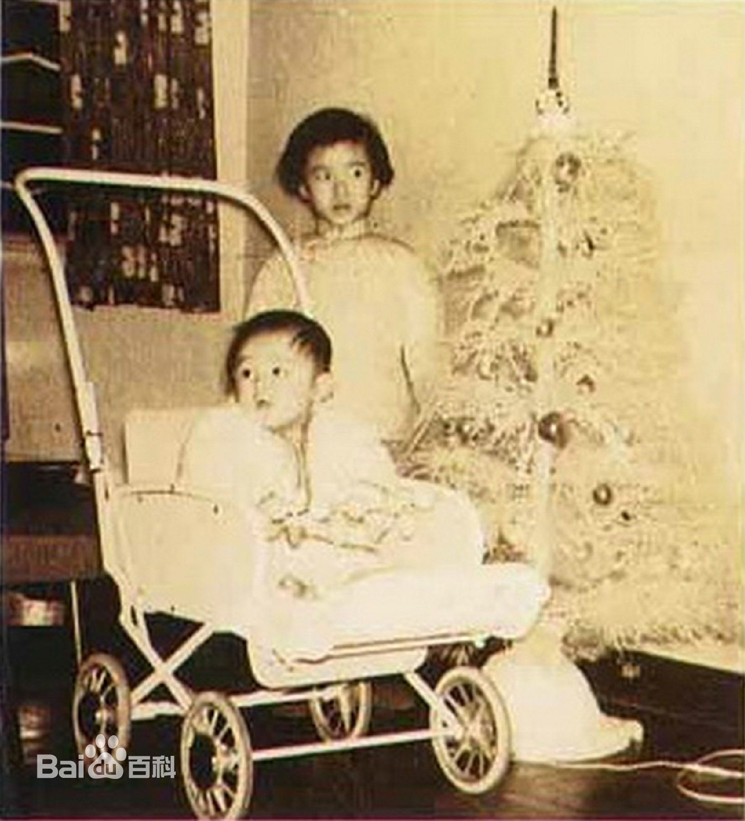 http://www.fjsenfa.cn/pics/star/pic/69619422240d50664e54951cf8322839.jpg