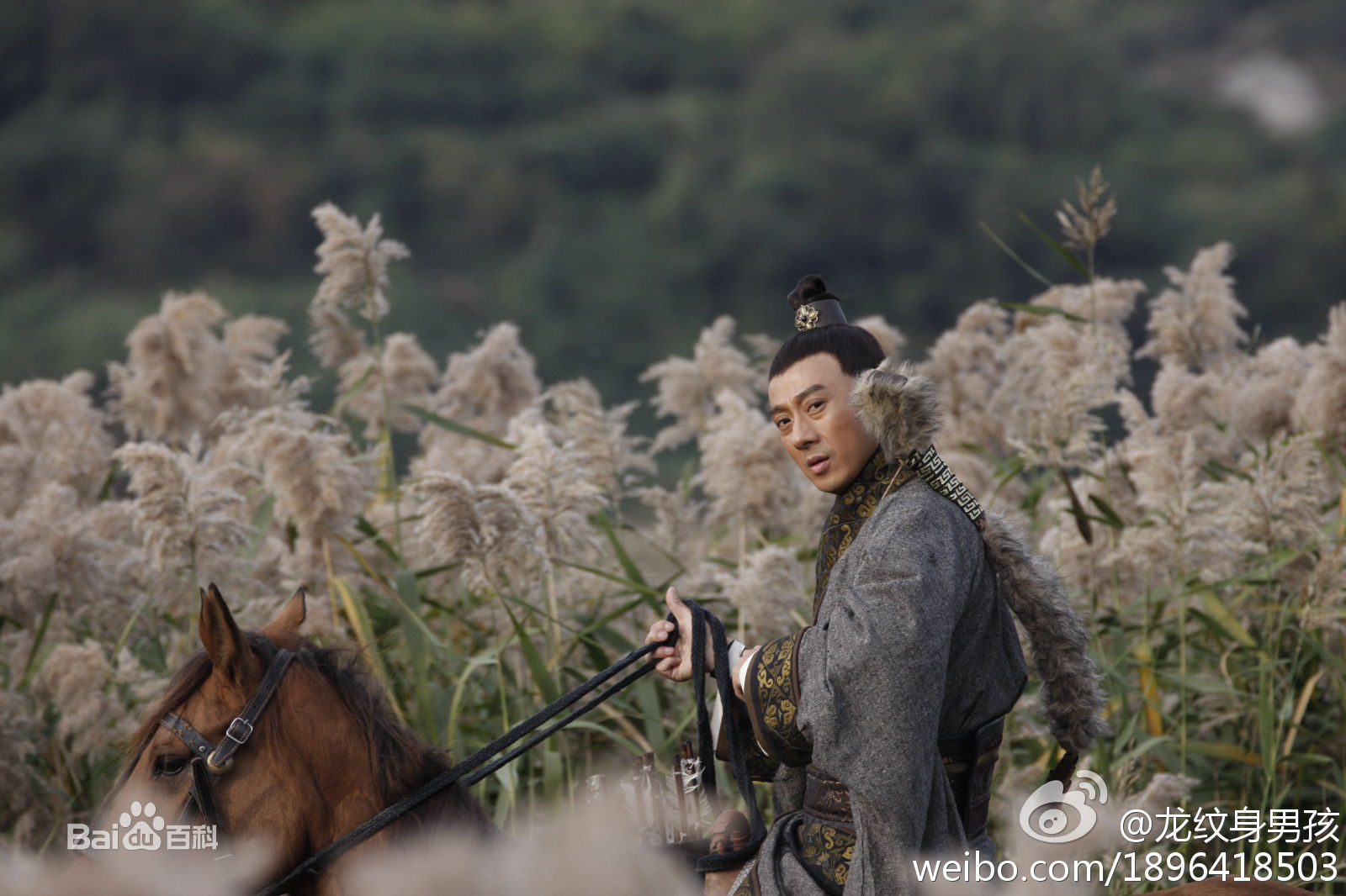 http://www.fjsenfa.cn/pics/star/pic/6af836fb86d6f0a7d1c6ed2cfbb7ca07.jpg