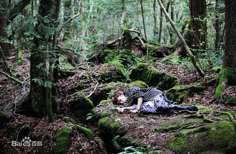 http://www.fjsenfa.cn/pics/star/pic/70df268358ff5e8e08cad1d6ebb55969.jpg