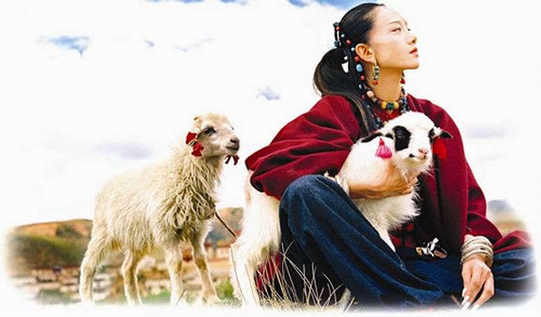 http://www.fjsenfa.cn/pics/star/pic/7318f6ad7c30bee02775162d518111b8.jpg