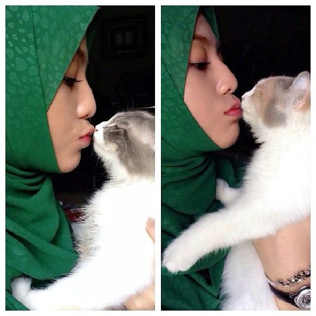 http://www.fjsenfa.cn/pics/star/pic/77ce0ed7009d4b57b7db6fb69776f623.jpg