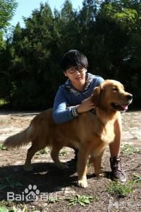 http://www.fjsenfa.cn/pics/star/pic/782ae7e1f7839f21b4abd9ea7d72995f.jpg
