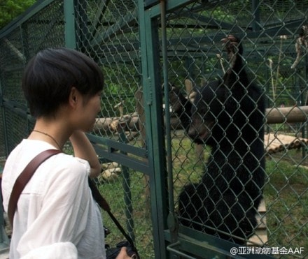 http://www.fjsenfa.cn/pics/star/pic/80dc0fd72f8260e862bde9674decc4c6.jpg