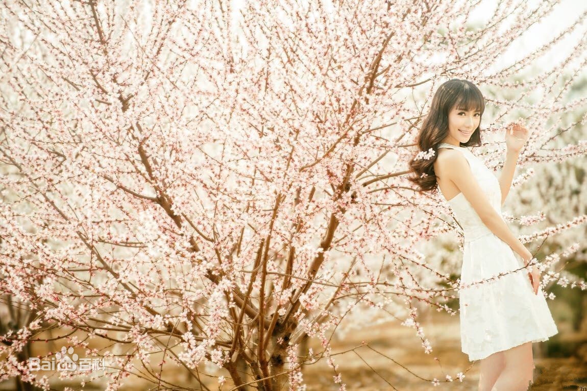 http://www.fjsenfa.cn/pics/star/pic/8368760bf47e6c991275b2a180dd656d.jpg
